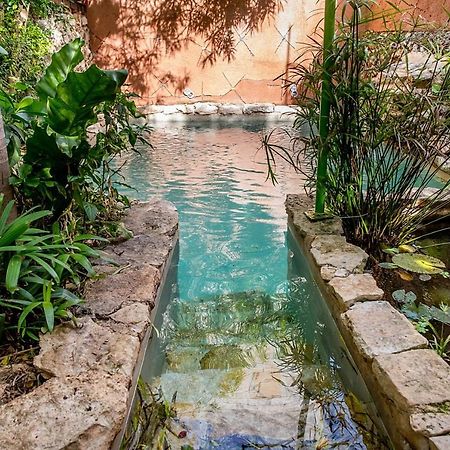 La Selva By Majikal B&B เมริดา ภายนอก รูปภาพ