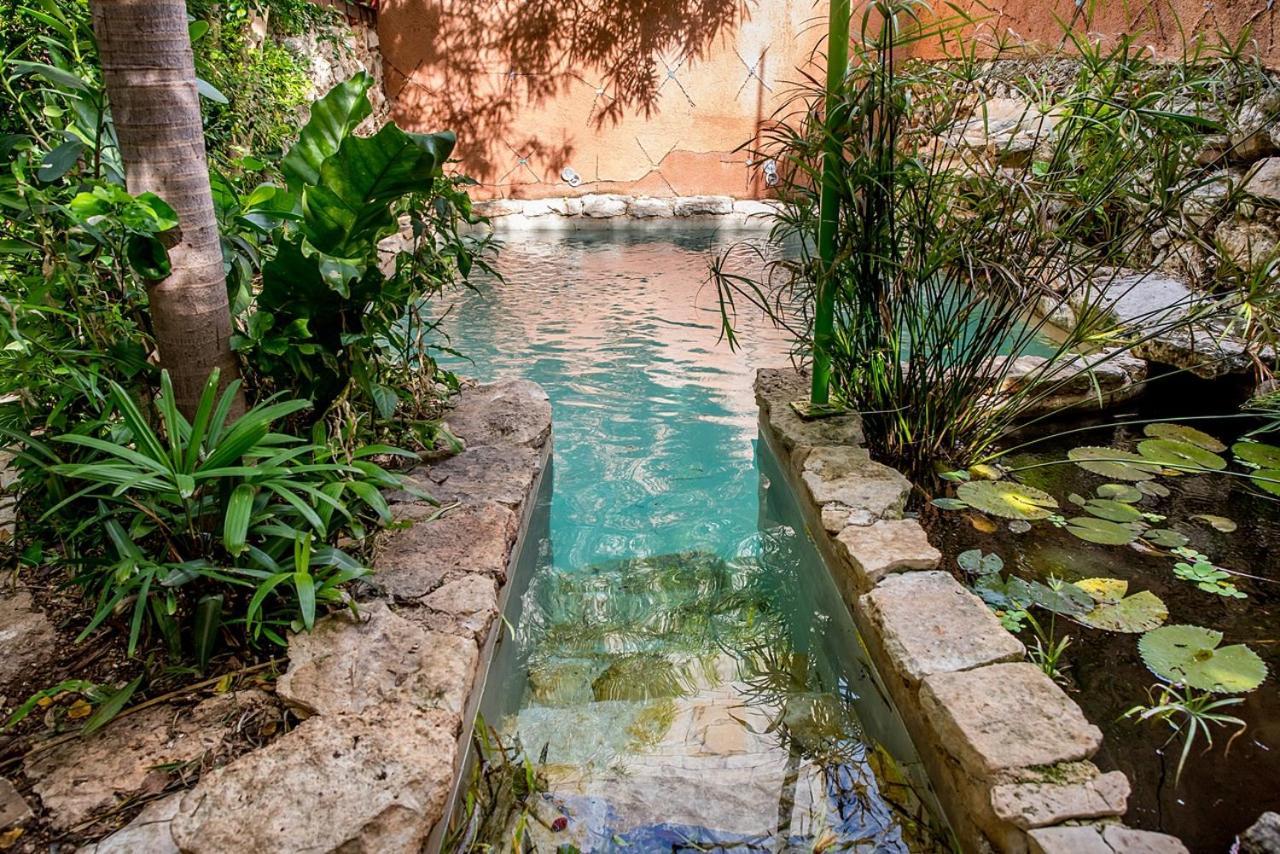 La Selva By Majikal B&B เมริดา ภายนอก รูปภาพ